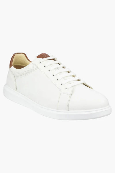 SOCIAL SNEAKER