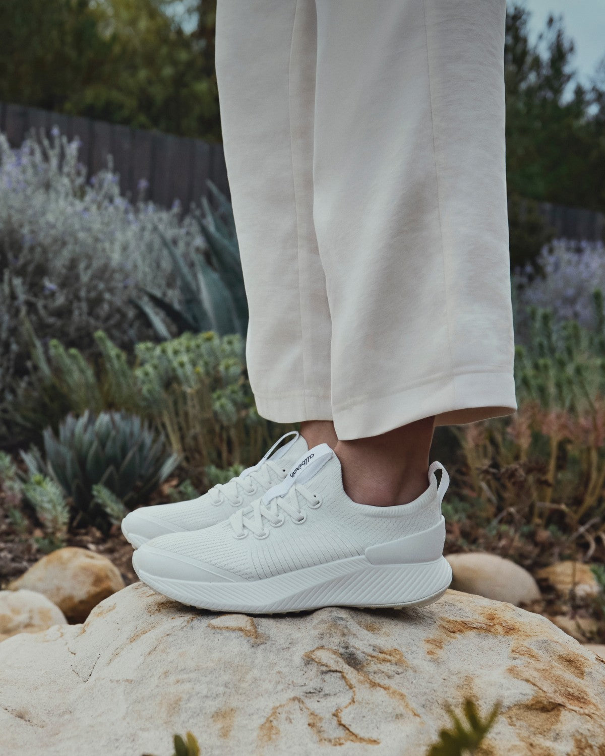 ALLBIRDS
